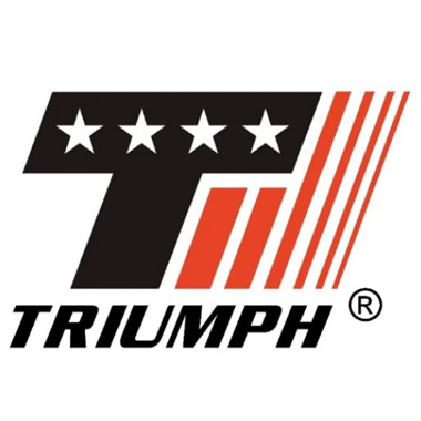 Logo TRIUMPH